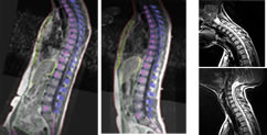 imaging_based_study imaging_based_study