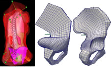mesh_deformation mesh_deformation